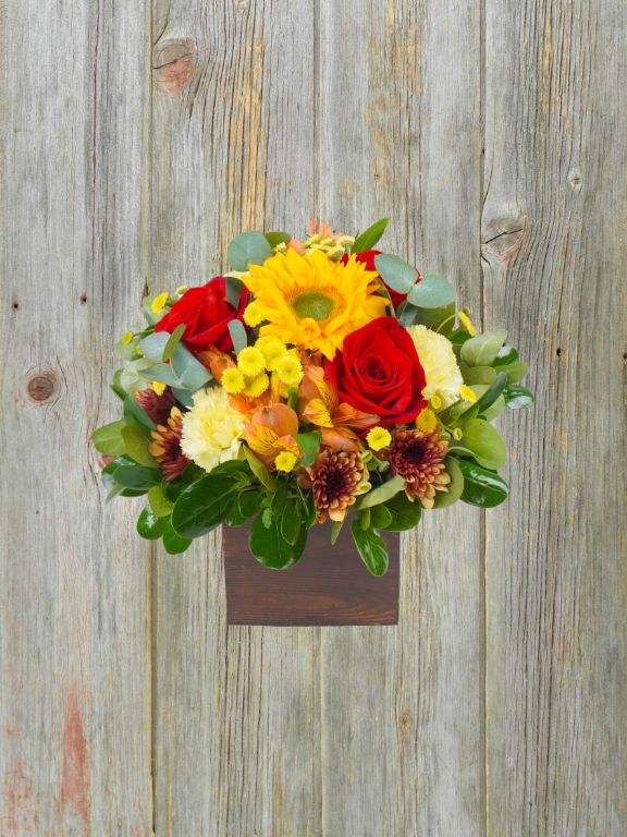FOAM ARRANGEMENT SQUARE "AUBURN"